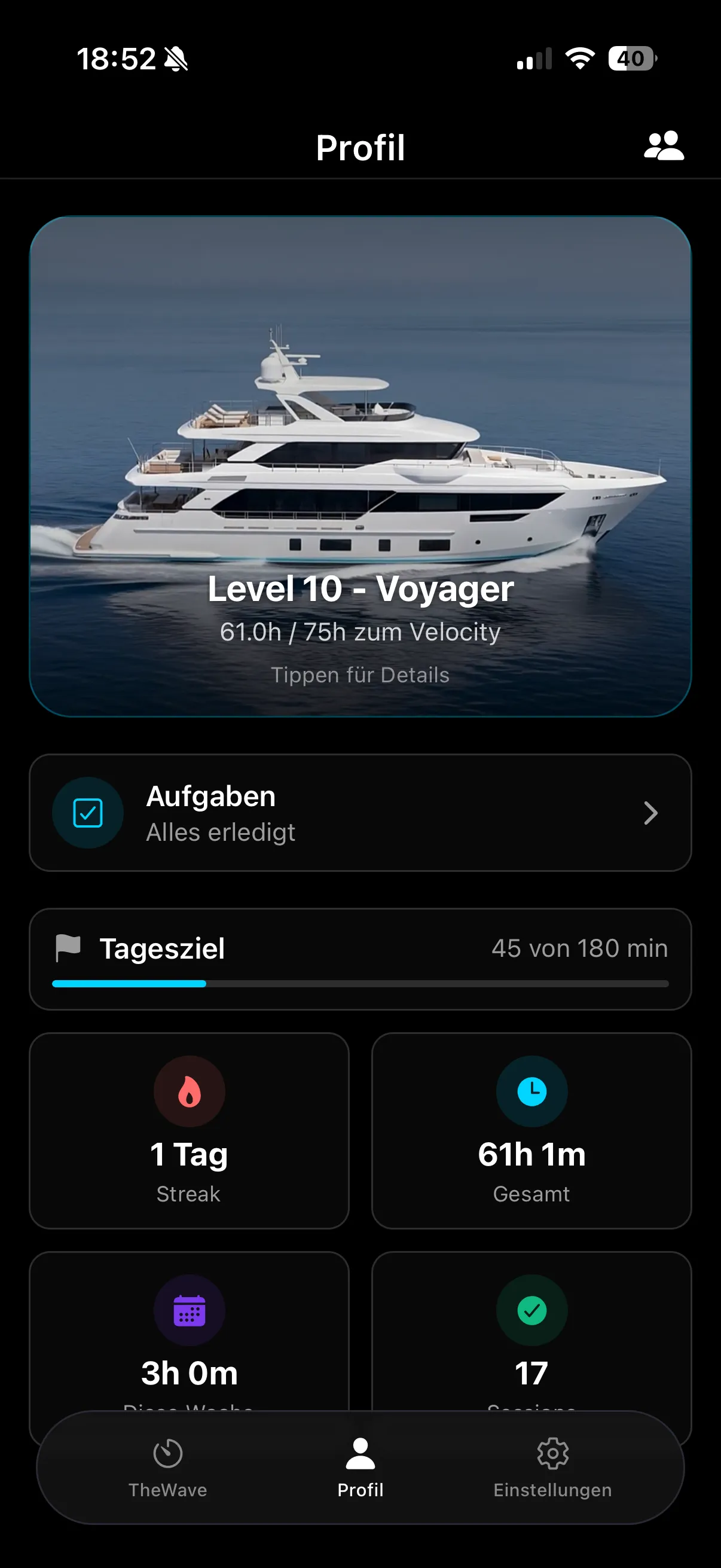 TheWave – Level & Fortschritt